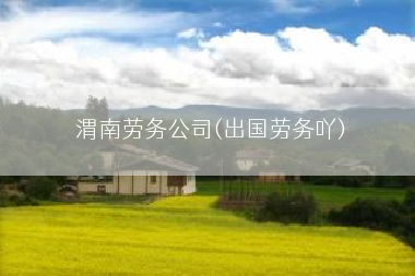 渭南劳务公司(出国劳务吖)