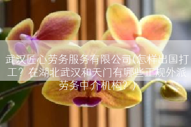 武汉匠心劳务服务有限公司(怎样出国打工？在湖北武汉和天门有哪些正规外派劳务中介机构？)