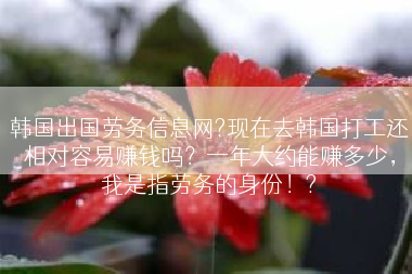 韩国出国劳务信息网?现在去韩国打工还相对容易赚钱吗？一年大约能赚多少，我是指劳务的身份！?