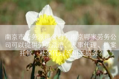 南京市劳务派遣公司？南京哪家劳务公司可以提供劳务派遣、人事代理、档案托管、社保代理等相关服务？