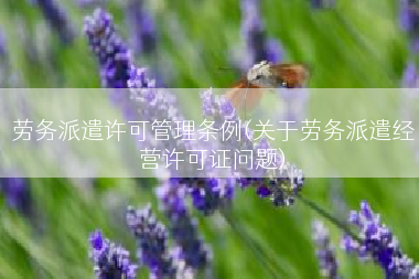 劳务派遣许可管理条例(关于劳务派遣经营许可证问题)
