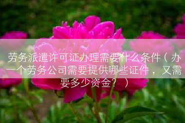 劳务派遣许可证办理需要什么条件（办一个劳务公司需要提供哪些证件 ，又需要多少资金？）