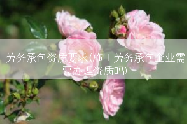 劳务承包资质要求(施工劳务承包企业需要办理资质吗)