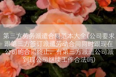 第三方劳务派遣合同范本大全(公司要求跟第三方签订派遣劳动合同同时跟现在公司的合同终止，有第三方派遣公司派到现公司继续工作合法吗)