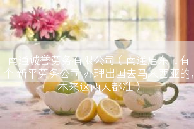 南通诚誉劳务有限公司（南通启东市有个 新平劳务公司 办理出国去马来西亚的，本来这两天都准）