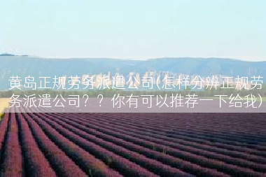 黄岛正规劳务派遣公司(怎样分辨正规劳务派遣公司？？你有可以推荐一下给我)
