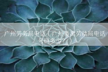 广州劳务局电话（广州番禺劳动局电话号码多少？）