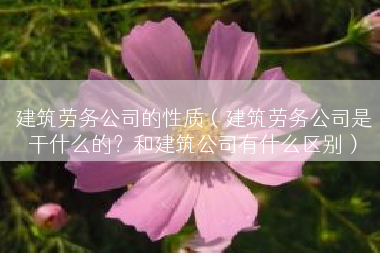 建筑劳务公司的性质（建筑劳务公司是干什么的？和建筑公司有什么区别）
