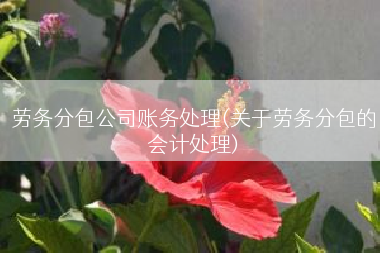 劳务分包公司账务处理(关于劳务分包的会计处理)