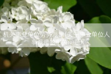 机关事业单位劳务派遣(关于事业单位人事派遣的相关问题)