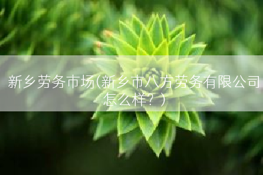 新乡劳务市场(新乡市八方劳务有限公司怎么样？)