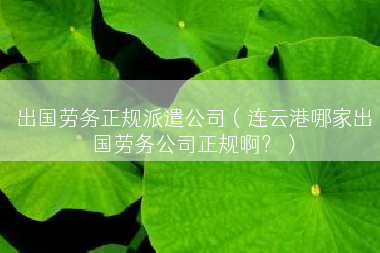 出国劳务正规派遣公司（连云港哪家出国劳务公司正规啊？）