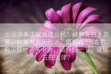 出国劳务正规派遣公司？我想去日本劳务，如果有费用的话，最好在3万左右。有正规的劳务中介，请介绍一下。我现在在天津？