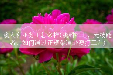 澳大利亚务工怎么样(澳洲打工，无技能者，如何通过正规渠道赴澳打工？)