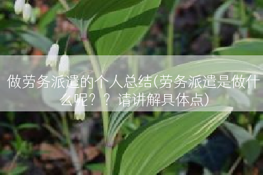 做劳务派遣的个人总结(劳务派遣是做什么呢？？请讲解具体点)