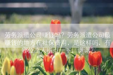 劳务派遣公司赚钱吗？劳务派遣公司最赚钱的地方在社保费用，是这样吗，有哪位高人指点一下，谢谢？
