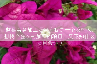 监狱劳务加工项目（我是一个农村人，想找个在农村加工的项目，又不知什么项目合适）