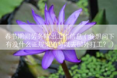 春节期间劳务输出工作信息（我想问下有没什么正规渠道可以去国外打工？）