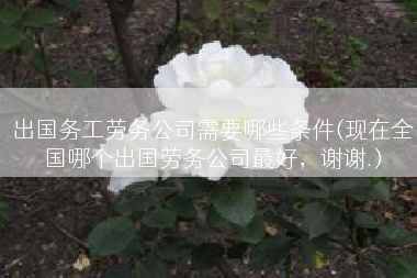 出国务工劳务公司需要哪些条件(现在全国哪个出国劳务公司最好，谢谢.)