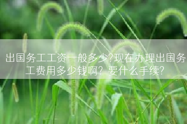 出国务工工资一般多少?现在办理出国务工费用多少钱啊？要什么手续?