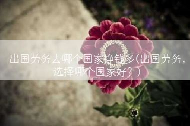 出国劳务去哪个国家挣钱多(出国劳务，选择哪个国家好？)