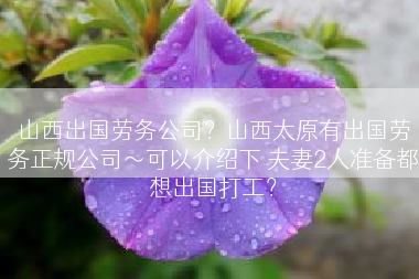 山西出国劳务公司？山西太原有出国劳务正规公司～可以介绍下 夫妻2人准备都想出国打工？