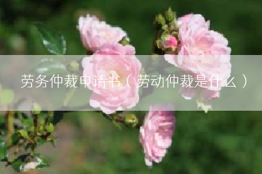 劳务仲裁申请书（劳动仲裁是什么）
