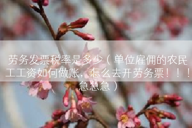 劳务发票税率是多少（单位雇佣的农民工工资如何做账，怎么去开劳务票！！！急急急）
