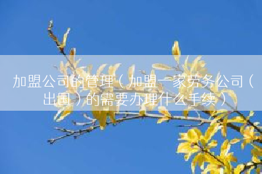 加盟公司的管理（加盟一家劳务公司（出国）的需要办理什么手续）
