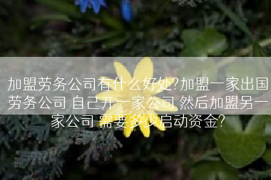 加盟劳务公司有什么好处?加盟一家出国劳务公司 自己开一家公司 然后加盟另一家公司 需要多少启动资金?