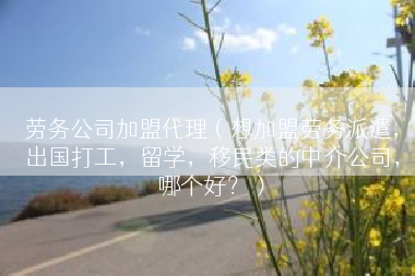 劳务公司加盟代理（想加盟劳务派遣，出国打工，留学，移民类的中介公司，哪个好？）