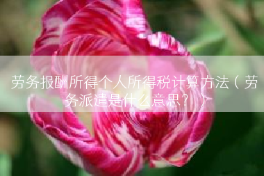 劳务报酬所得个人所得税计算方法（劳务派遣是什么意思？）