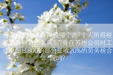 劳务税和个人所得税哪个高?个人所得税和劳务税有什么区别?我在苏州公司对工资中超过800的部分征收20%的劳务税合理吗?