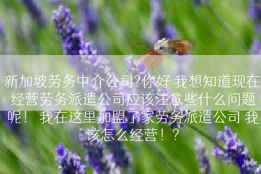 新加坡劳务中介公司?你好 我想知道现在经营劳务派遣公司应该注意些什么问题呢！ 我在这里加盟了家劳务派遣公司 我该怎么经营！?