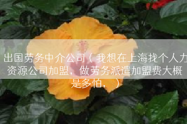 出国劳务中介公司（我想在上海找个人力资源公司加盟，做劳务派遣加盟费大概是多怕，）