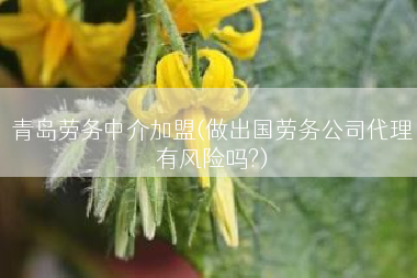青岛劳务中介加盟(做出国劳务公司代理有风险吗?)
