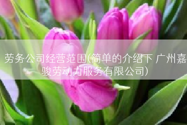 劳务公司经营范围(简单的介绍下 广州嘉骏劳动力服务有限公司)
