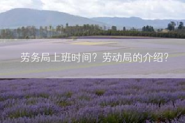 劳务局上班时间？劳动局的介绍？