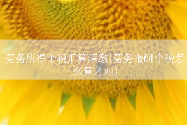 劳务所得个税汇算清缴(劳务报酬个税怎么算才对)
