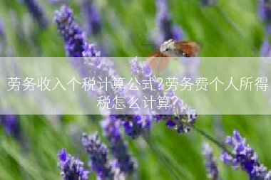 劳务收入个税计算公式?劳务费个人所得税怎么计算?