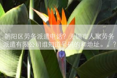 朝阳区劳务派遣电话？无锡市人聚劳务派遣有限公司谁知道号码的和地址。。？