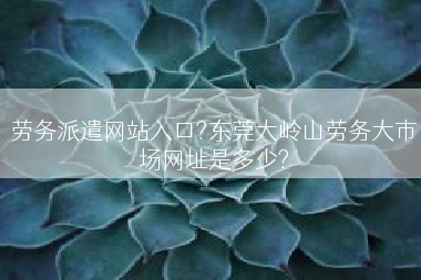 劳务派遣网站入口?东莞大岭山劳务大市场网址是多少?