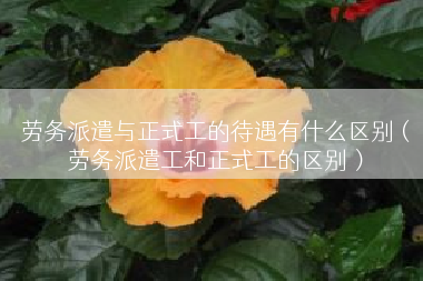 劳务派遣与正式工的待遇有什么区别（劳务派遣工和正式工的区别）