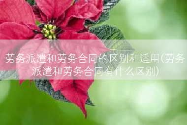 劳务派遣和劳务合同的区别和适用(劳务派遣和劳务合同有什么区别)