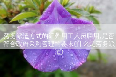 劳务派遣方式的编外用工人员聘用,是否符合政府采购管理的要求(什么是劳务派遣)