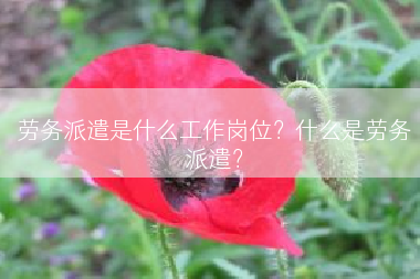 劳务派遣是什么工作岗位？什么是劳务派遣？