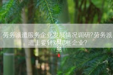 劳务派遣服务企业发展情况调研?劳务派遣主要针对那些企业?
