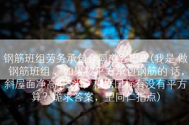钢筋班组劳务承包合同道客巴巴(我是 做钢筋班组 ，如果按平方承包钢筋的 话，斜屋面净高4.3米，根据国标有没有平方算？跪求答案，望同仁指点)