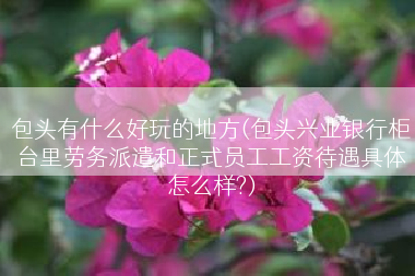 包头有什么好玩的地方(包头兴业银行柜台里劳务派遣和正式员工工资待遇具体怎么样?)