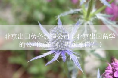 北京出国劳务派遣公司（北京出国留学的公司好多啊，哪家靠谱？）
